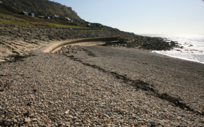 Have your say on the Chesil Cove Curved Sea Wall proposed works.