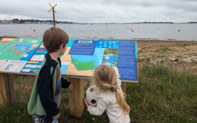 Seagrass Awareness Boards