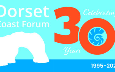 Celebrating 30 years of DCF – Nominate your coastal champion! 